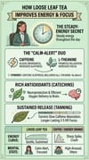 Infographic showing how tea improves energy and focus