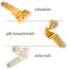 Lifepak ingredients explanation