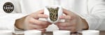Steady Energy, No Crashes With Our Premium Jasmine Dragon Pearls Green Tea